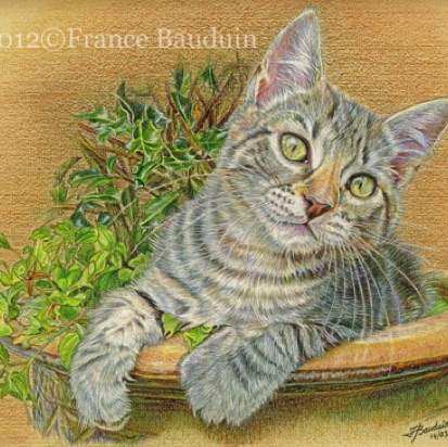 Gold & Holly pot -39 hours
Daler-Rowney Pastel Paper
9" x 12"
From Laila's 1st litter
